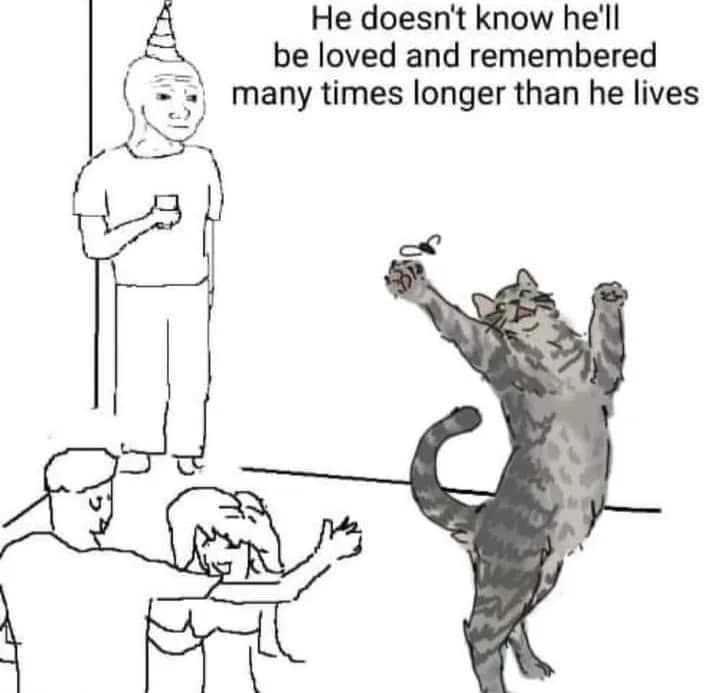 Szymborska: "Kot w pustym mieszkaniu" prawdziwe "kocie niebo"